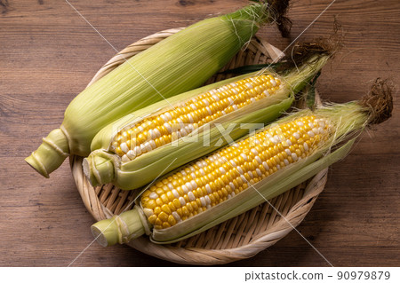 Corn 90979879