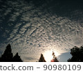 羊雲 90980109