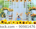 Sunflower and Corgi 90981476