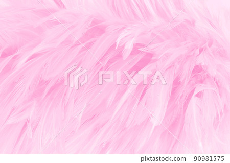 Beautiful soft pink bird feathers pattern texture background. Beautiful soft pink bird feathers pattern texture background. 90981575