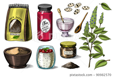 Chia plant and seeds. Salvia hispanica. Spice packaging, wooden spoon and dessert cup and pudding. A 90982570
