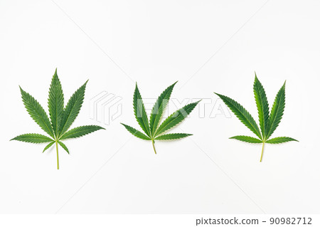 Three maijuana leaves on white 90982712