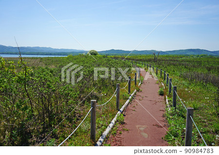 Hokkaido Kimuaneppu Cape 90984783