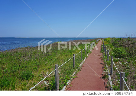 北海道木門二岬 90984784