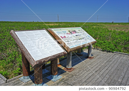 Hokkaido Kimuaneppu Cape Hokkaido Kimuaneppu Cape 90984792