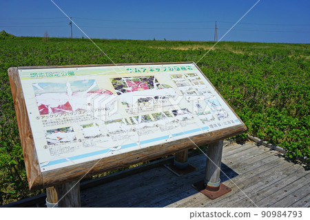 Hokkaido Kimuaneppu Cape Hokkaido Kimuaneppu Cape 90984793