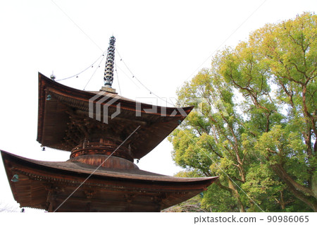 春日井市多寶三藏院風景 90986065