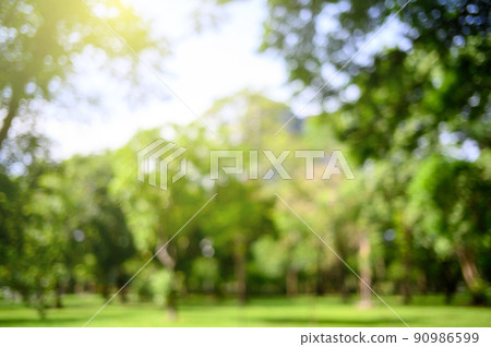 Blur blackground of tropical leaves, abstract green leaves nature background Blur blackground of tropical leaves, abstract green leaves nature background 90986599