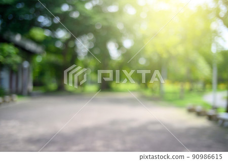 Blur blackground of tropical leaves, abstract green leaves nature background 90986615