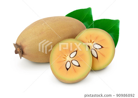 Sapodilla isolated on white background with full depth of field Sapodilla isolated on white background with full depth of field 90986892