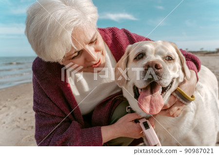 Gray-haired lady and her cute Labrador Retriever outdoors Gray-haired lady and her cute Labrador Retriever outdoors 90987021
