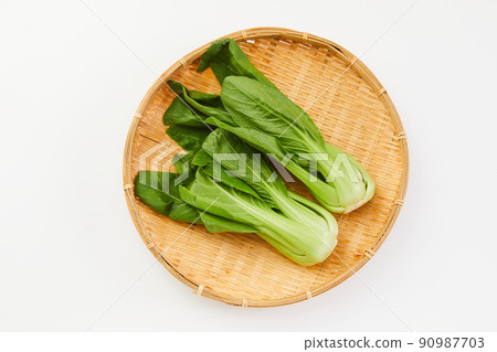 Bok choy, bok choy, bok choy Bok choy, bok choy, bok choy 90987703