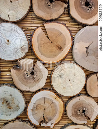 Textural background of a cross-section of different trees and straw. Natural and abstract style. 90988369