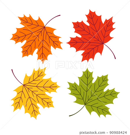 A maple leaf in red, yellow, orange, and green colors. A maple leaf in red, yellow, orange, and green colors. 90988424