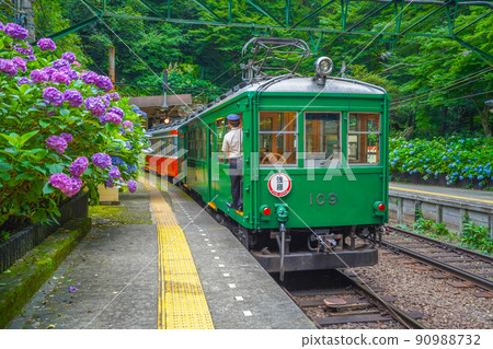 繡球花開箱根登山鐵道 90988732