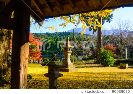 阿蘇山西岩傳寺“秋葉,境內的秋色,大銀杏的秋色”(觀光景點)阿蘇市黑川 阿蘇山西岩傳寺“秋葉,境內的秋色,大銀杏的秋色”(觀光景點)阿蘇市黑川 90989020