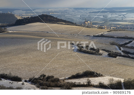 Winter landscape near Mikulov, Palava region, Southern Moravia, Czech Republic Winter landscape near Mikulov, Palava region, Southern Moravia, Czech Republic 90989176