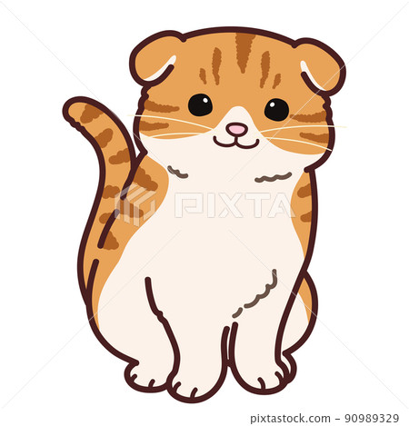 Illustration of a simple and cute Scottish fold that sits facing the front with a main line 90989329