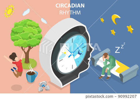 3D Isometric Flat Vector Conceptual Illustration of Circadian Rhythm 3D Isometric Flat Vector Conceptual Illustration of Circadian Rhythm 90992207