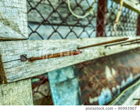 texture, background. natural, processed wood. the texture of the logs, the trees are behind a metal mesh. an old, rusty nail sticks out of the board 90993907