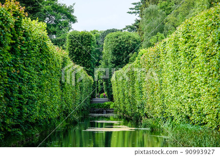 Beautiful Oliwa Park in Gdansk, Poland. Defocused Beautiful Oliwa Park in Gdansk, Poland. Defocused 90993927