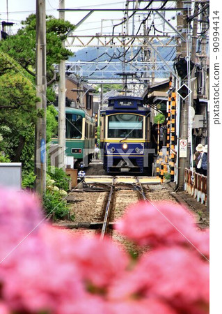 Around the time of hydrangea ... From the ancient city "Kamakura" to Enoshima [Enoden] 90994414