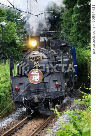 Going through the fresh green tunnel ... SL Taiki running hard on Kinugawa Road 90994431