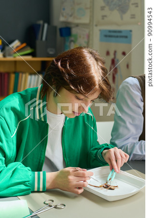 Teenage schoolgirl using steel surgical instruments while dissecting frog Teenage schoolgirl using steel surgical instruments while dissecting frog 90994543