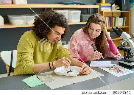 Teenage guy dissecting body of frog with scalpel at lesson of anatomy 90994545