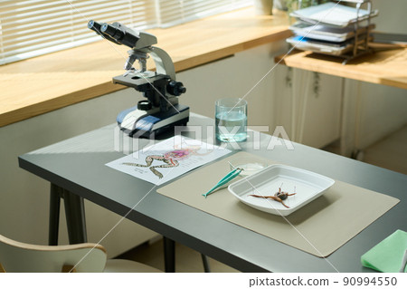 Group of supplies and equipment for making dissection of frog and studying it Group of supplies and equipment for making dissection of frog and studying it 90994550