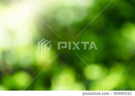 Nature bright summer sunlight background 90994582