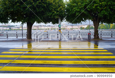 A yellow Zebra and a green traffic light on a regulated pedestrian crosswalk. 90994950