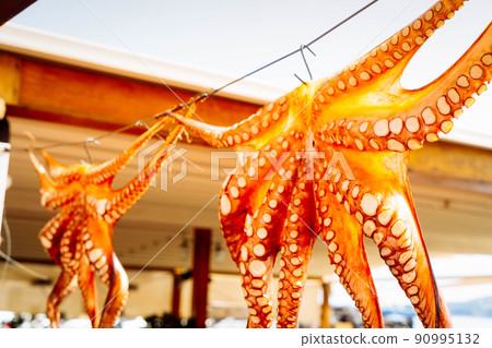 sun dried octopus sun dried octopus 90995132