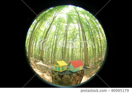 Miniature house in the woods 90995179