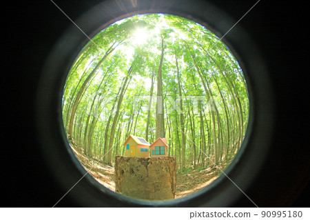 Miniature house in the woods 90995180