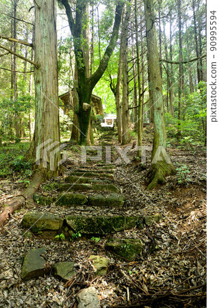 神社入口 神社入口 90995594