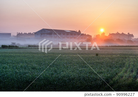 Mito City, Ibaraki Prefecture Early summer morning mist countryside Mito City, Ibaraki Prefecture Early summer morning mist countryside 90996227