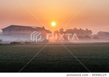 Mito City, Ibaraki Prefecture Early summer morning mist countryside Mito City, Ibaraki Prefecture Early summer morning mist countryside 90996229