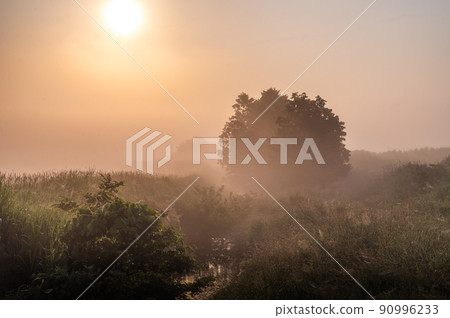 Mito City, Ibaraki Prefecture Early summer morning mist countryside 90996233