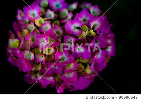 Like a fireworks display 90996642