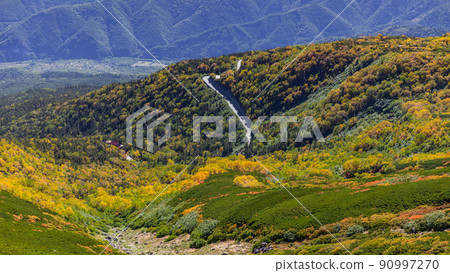 [Nagano Prefecture] Autumn leaves of Mt. Norikura * Natural scenery 90997270