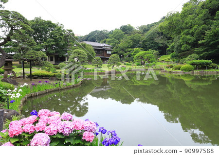 東京都文京區肥後細川庭園 90997588