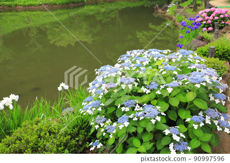 Higo Hosokawa Garden, Bunkyo-ku, Tokyo 90997596