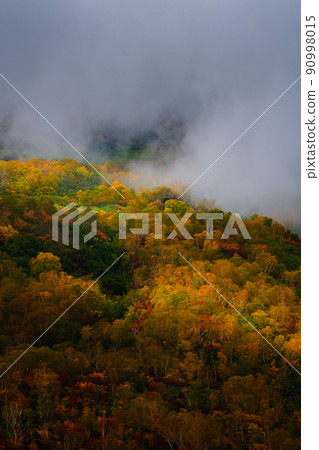 Tsugaike Nature Garden (Autumn) 90998015