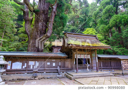 若狹小濱若狹姬神社 若狹小濱若狹姬神社 90998080