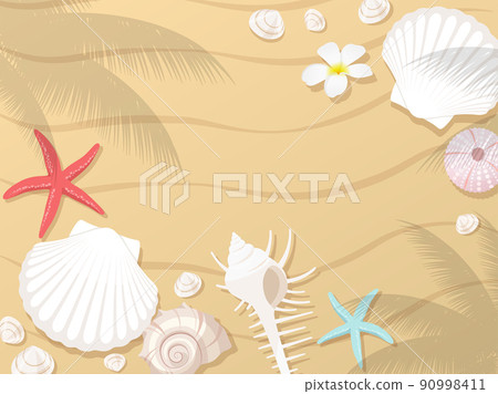 Sandy beach and seashell background frame 90998411