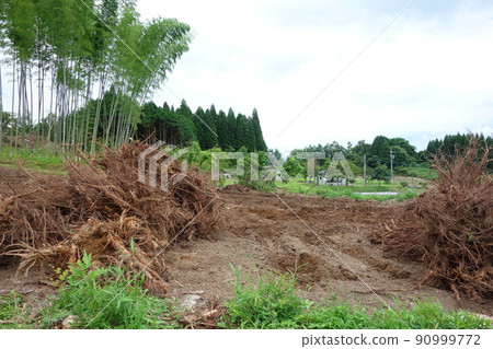 生根工作後的樹根 工業廢料 生根工作後的樹根 工業廢料 90999772