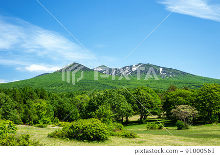 [青森縣八甲田山]從茅野茶屋高原看到的八甲田山，新鮮的綠化和積雪令人印象深刻 91000561