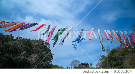 Carp streamer 91001304