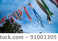 Carp streamer 91001305